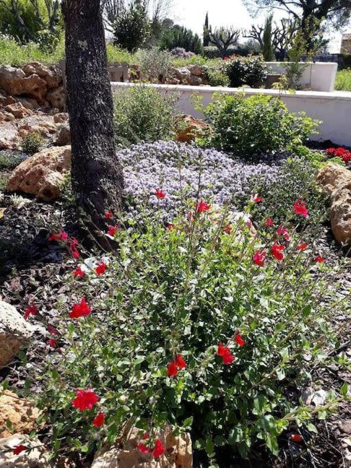Maison 2 Ou 4 Personnes Jardin Parking Les Amandiers Lorgues Εξωτερικό φωτογραφία