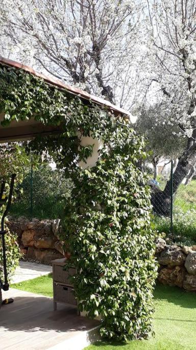 Maison 2 Ou 4 Personnes Jardin Parking Les Amandiers Lorgues Εξωτερικό φωτογραφία